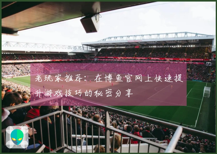 老玩家推荐：在博鱼官网上快速提升游戏技巧的秘密分享