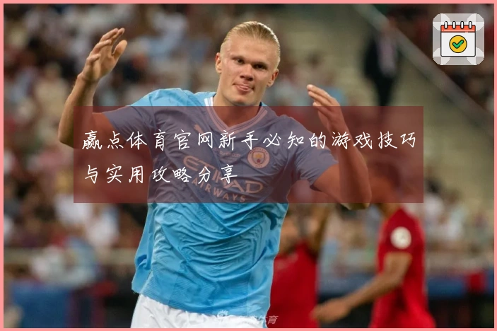 赢点体育官网新手必知的游戏技巧与实用攻略分享